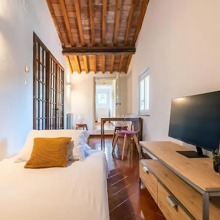 Lh - The Rose Apartment - Tower View Apartment Pisa